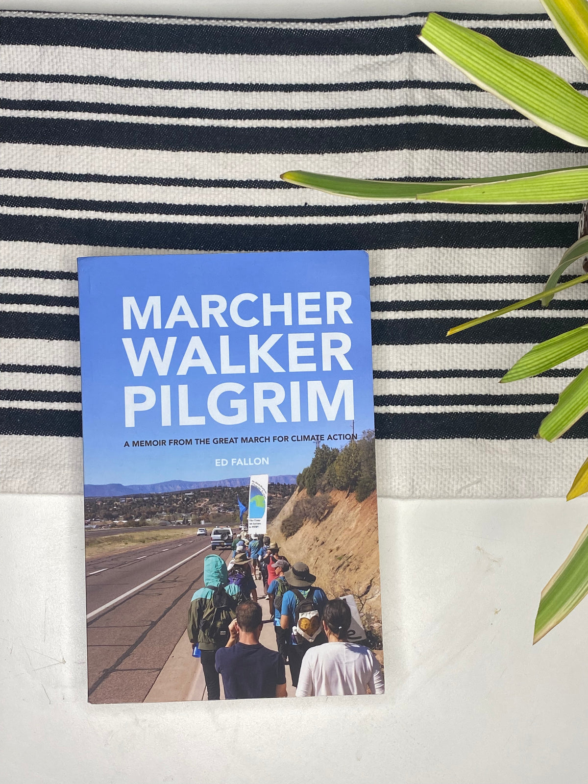 Marcher Walker Pilgrim by Ed Fallon