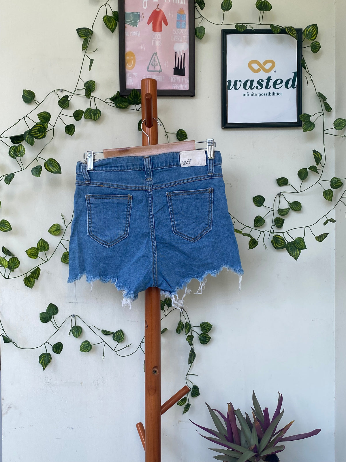 The Steady Denim Frayed Shorts