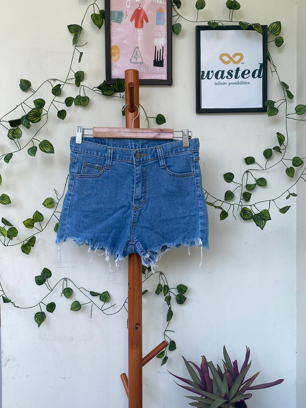 The Steady Denim Frayed Shorts