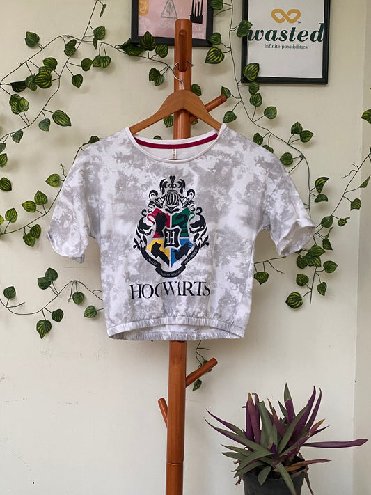 Hogwarts Graphic Crop Top