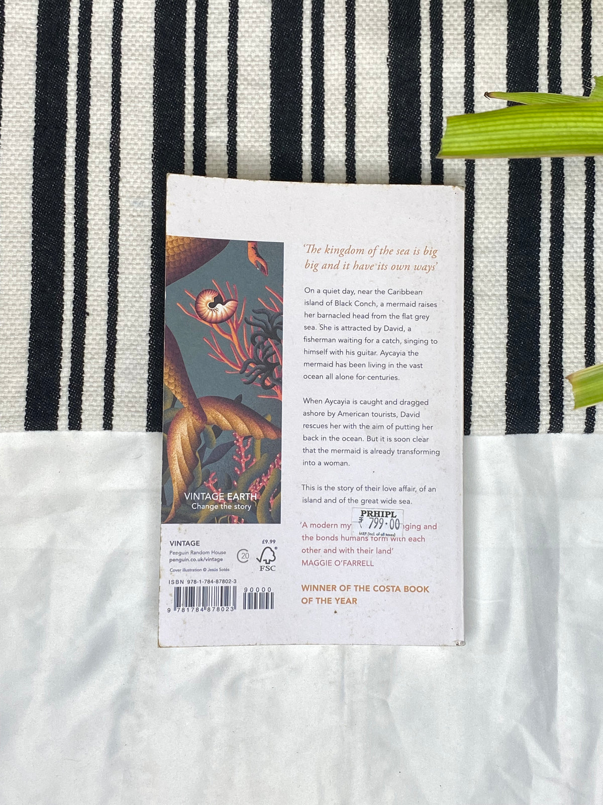 The Mermaid of Black Conch by Monique Roffey