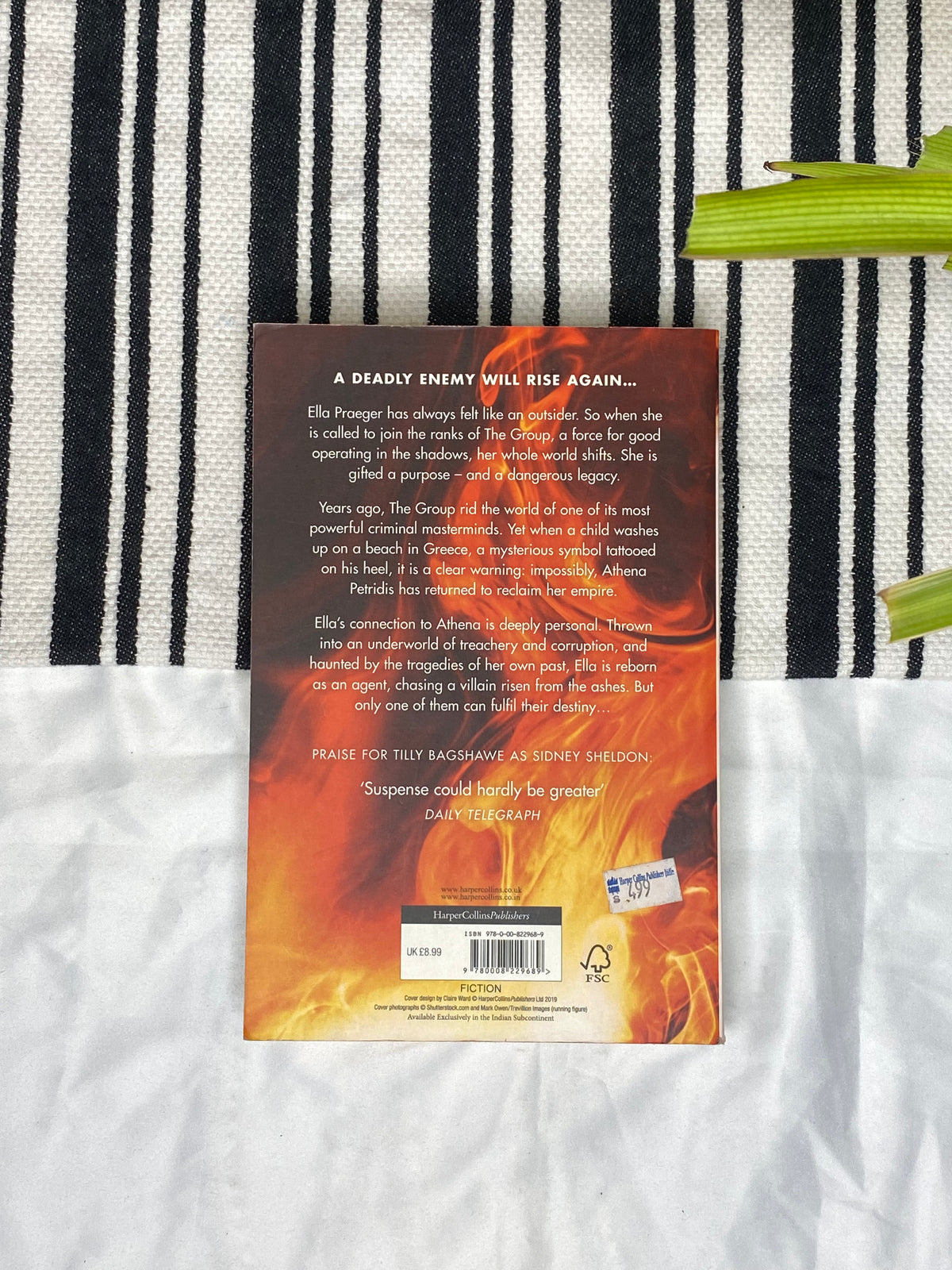 The Phoenix by Tilly Bagshawe