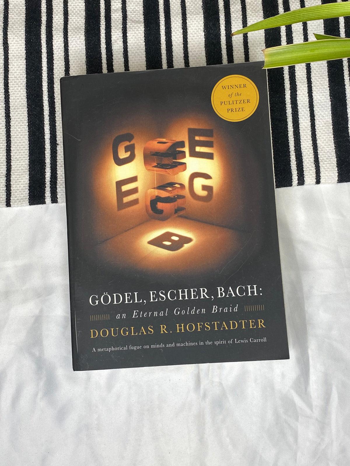 Gödel, Escher, Bach: An Eternal Golden Braid by Douglas R. Hofstadter