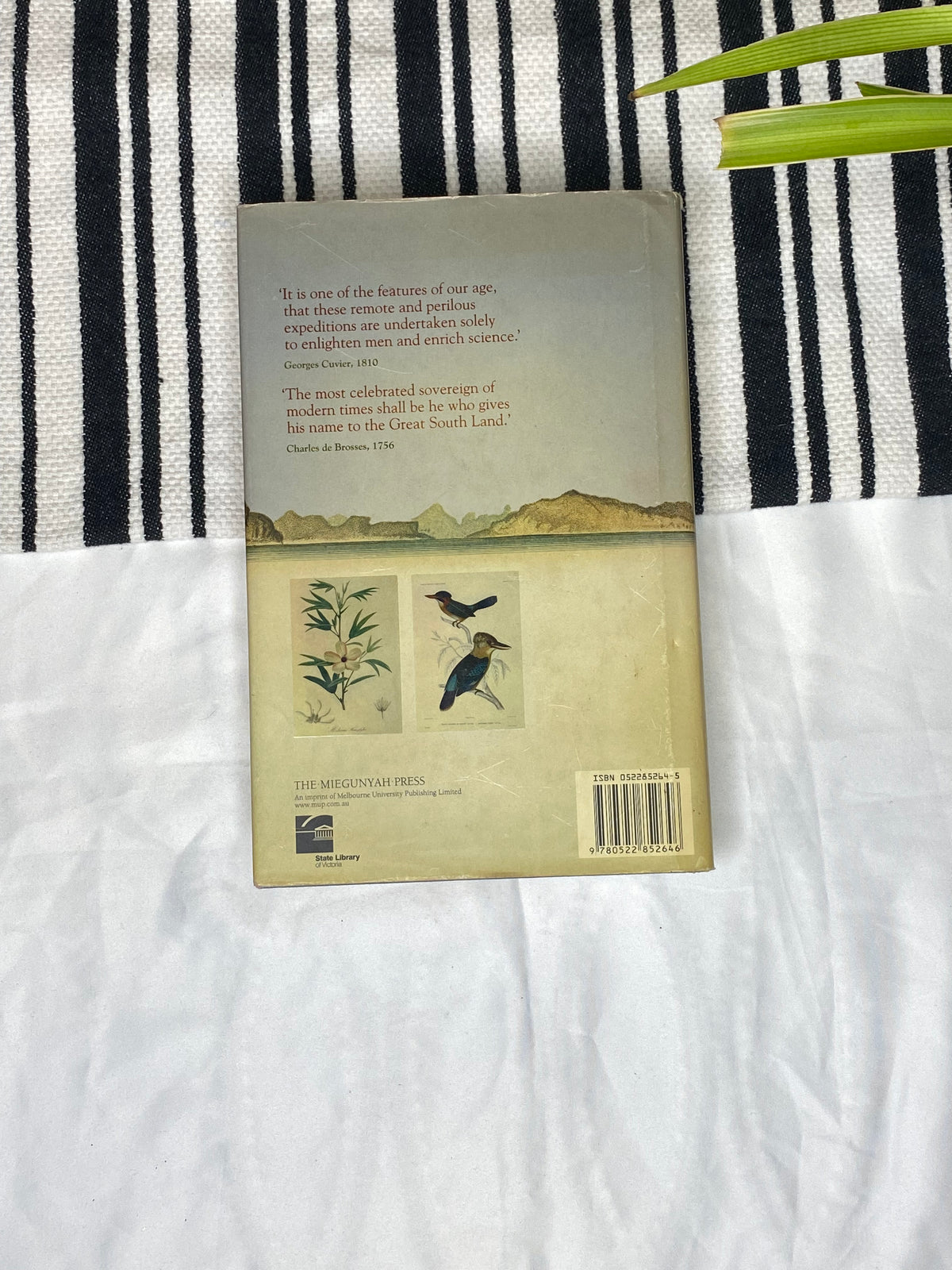 Voyages to the South Seas by Danielle Clode