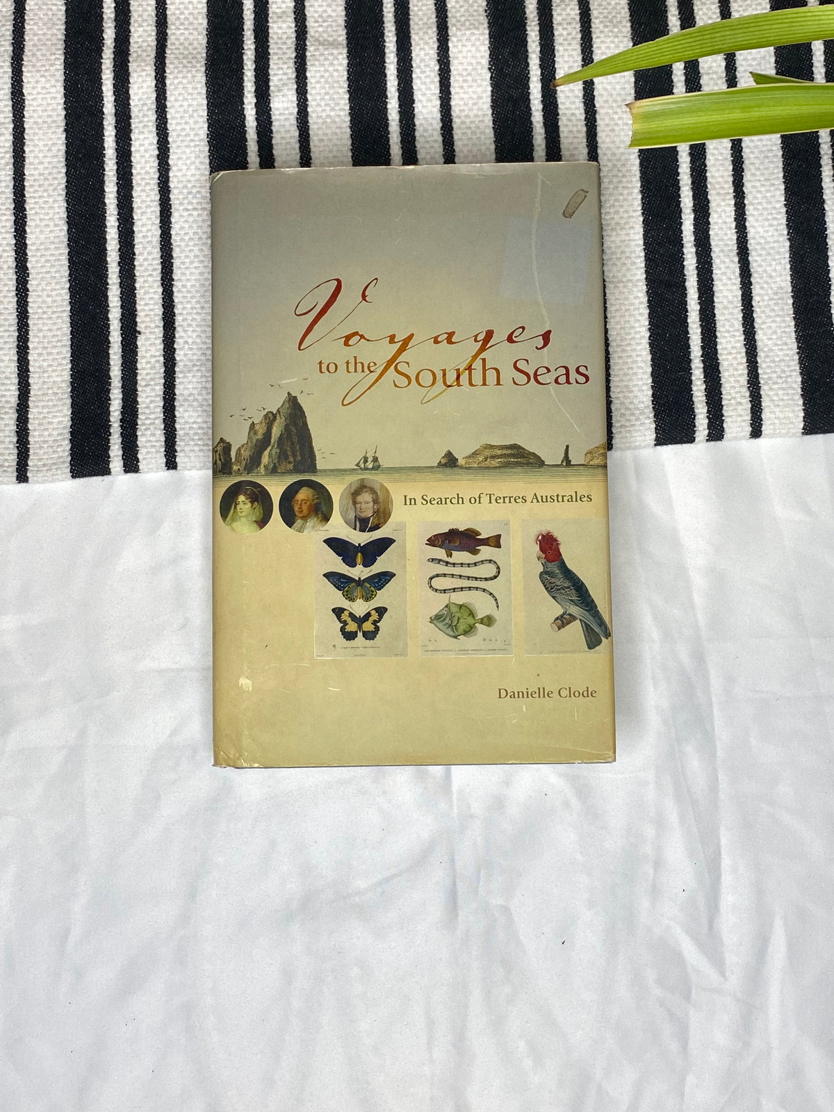 Voyages to the South Seas by Danielle Clode
