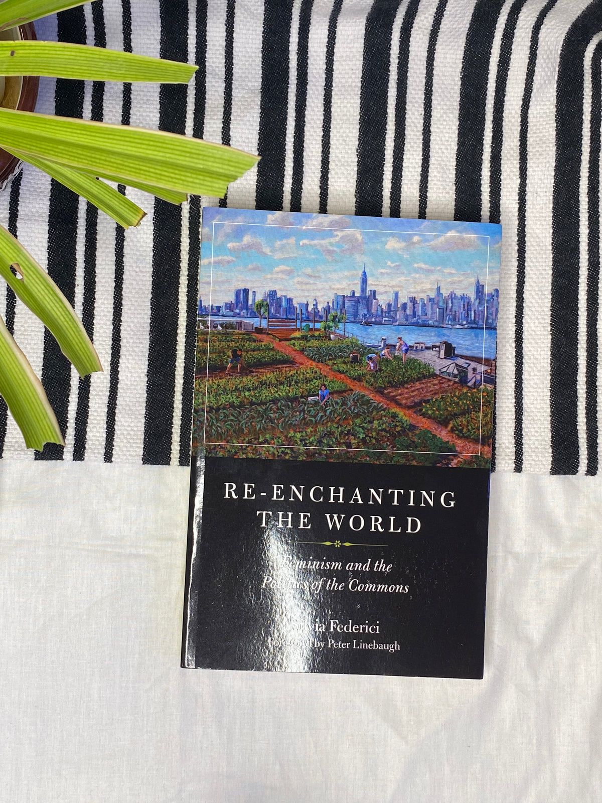 Re-Enchanting the World by Silvia Federici