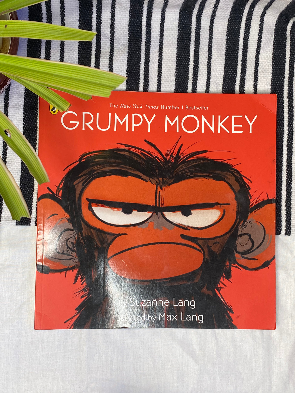 Grumpy Monkey by Suzanne Lang