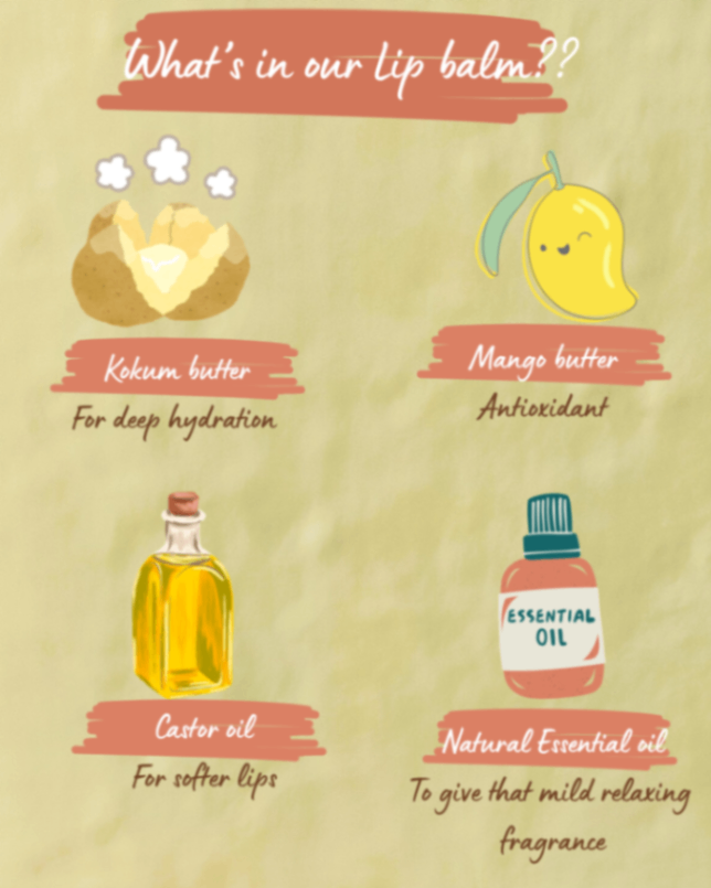Illustrated lip balm ingredient panel showing kokum butter, mango butter, castor oil and essential oil.